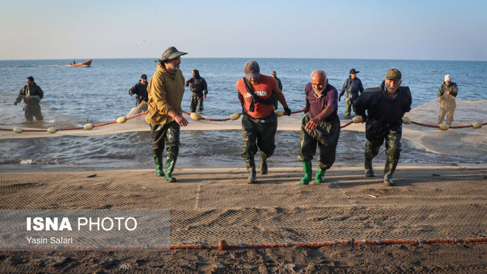 صید پره؛ سنت دیرین صیادان خزر