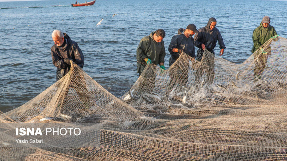 صید پره؛ سنت دیرین صیادان خزر