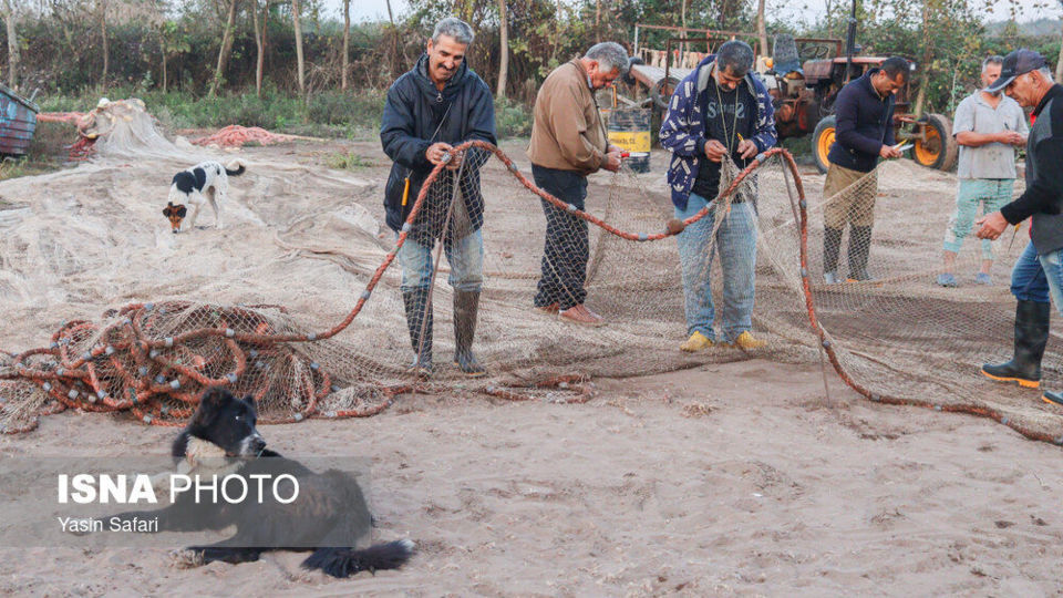 صید پره؛ سنت دیرین صیادان خزر
