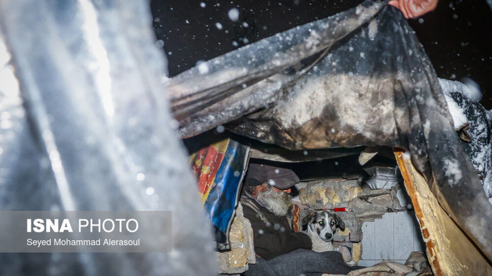 گرمخانه سبز مشهد