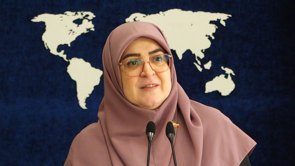 مهاجرانی: دولت با قدرت در پی حل مشکلات مردم است مهاجرانی: دولت با قدرت در پی حل مشکلات مردم است