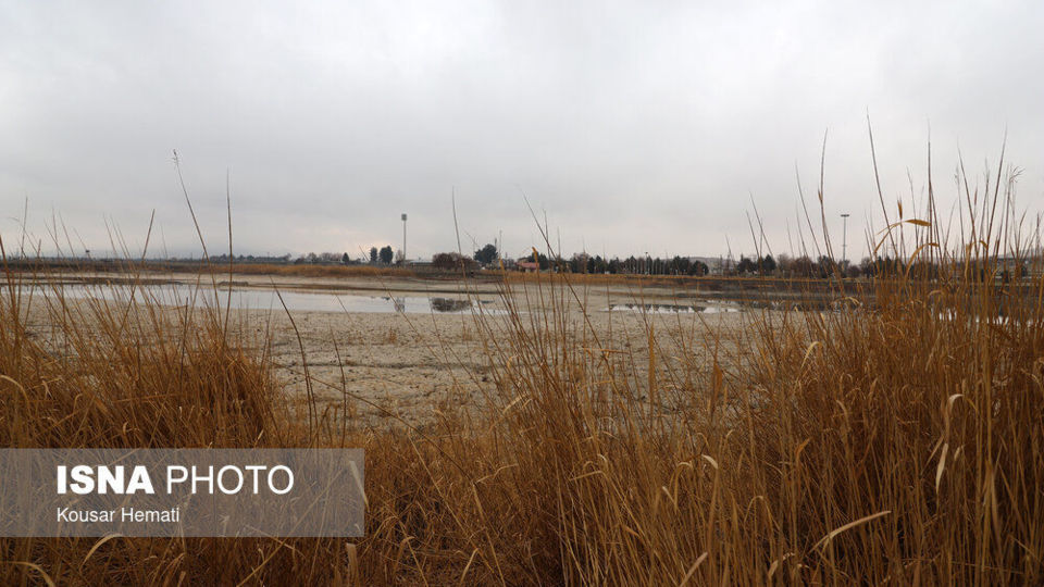 کم آبی «سراب نیلوفر» همچنان ادامه دارد کم آبی «سراب نیلوفر» همچنان ادامه دارد