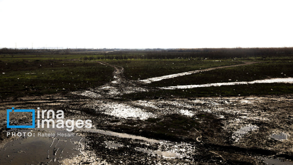 جزیره آشوراده