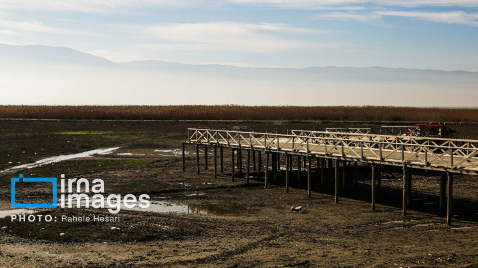 جزیره آشوراده