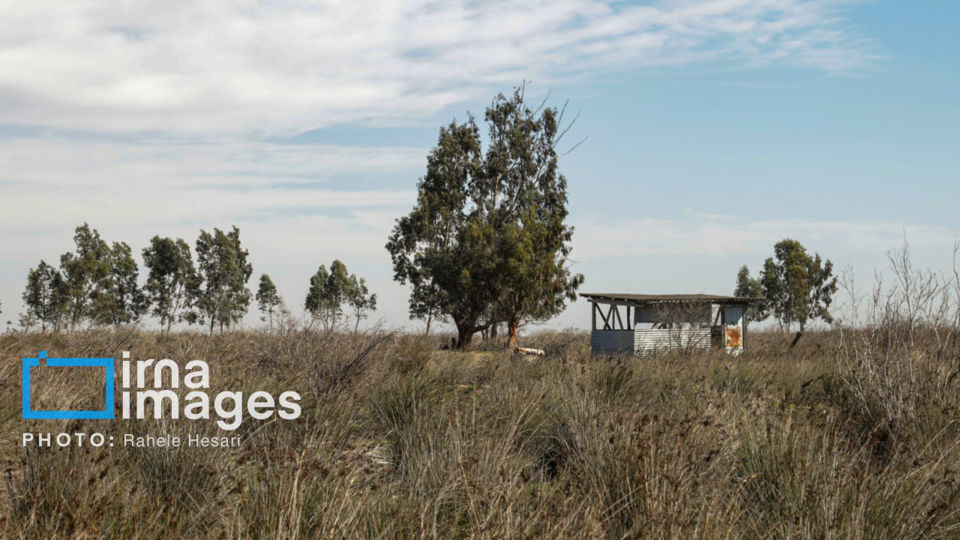 جزیره آشوراده