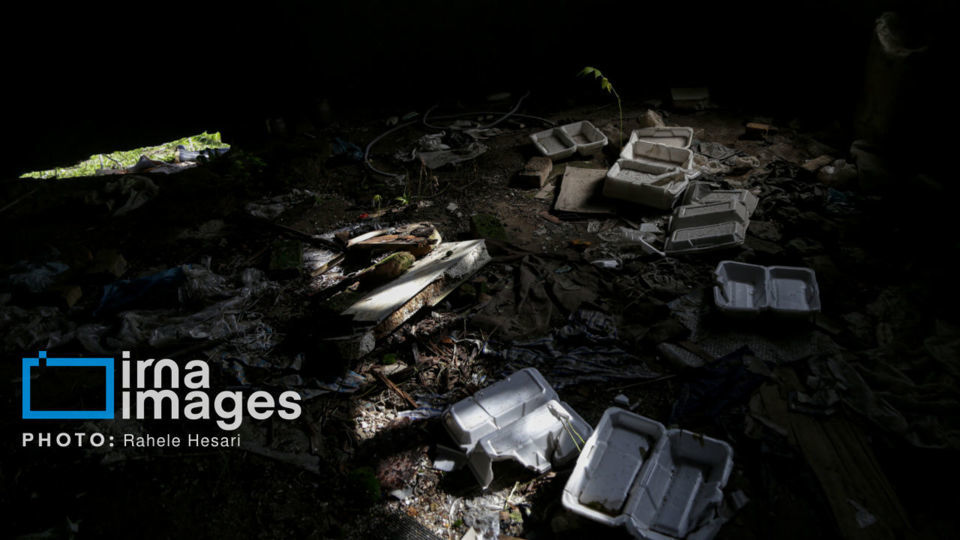 جزیره آشوراده