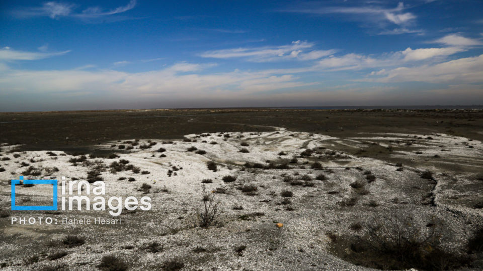 جزیره آشوراده