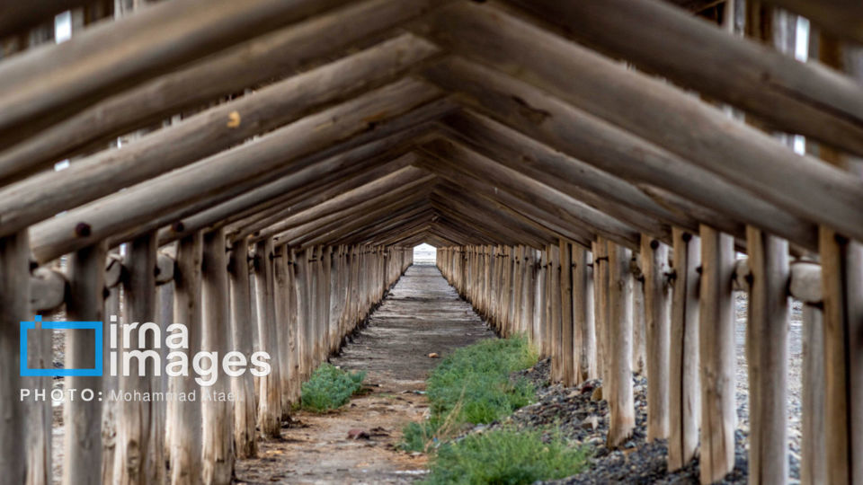  نفس تازه دریاچه ارومیه 