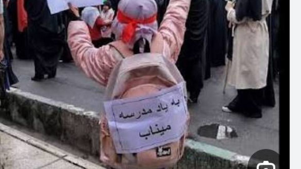 نامه نیوشا ضیغمی به دبیر کل سازمان ملل نامه نیوشا ضیغمی به دبیر کل سازمان ملل
