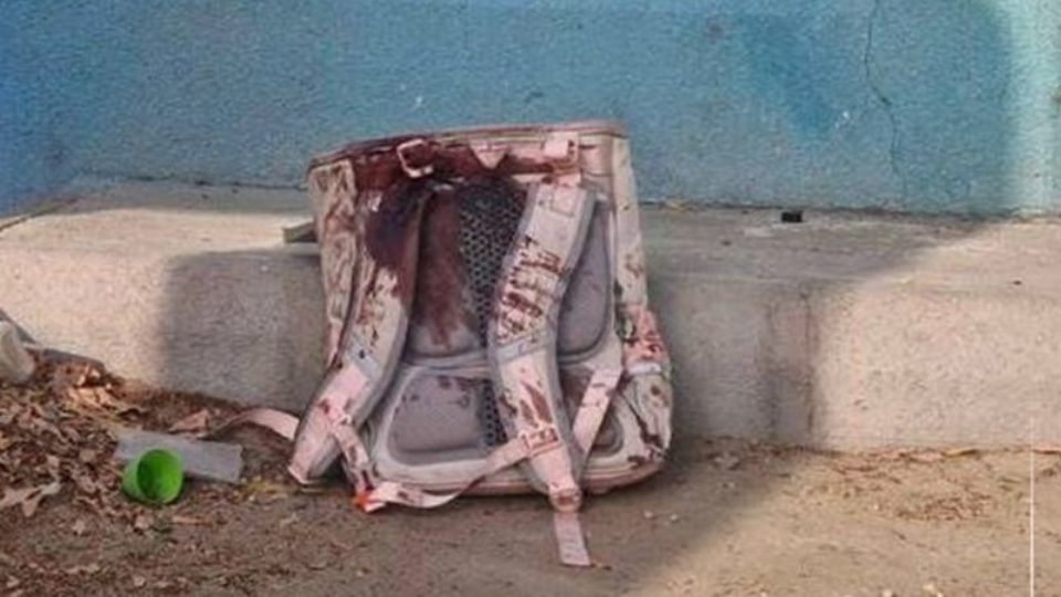  این چه رازیست که هر بار بهار، با عزای دل ما می آید؟