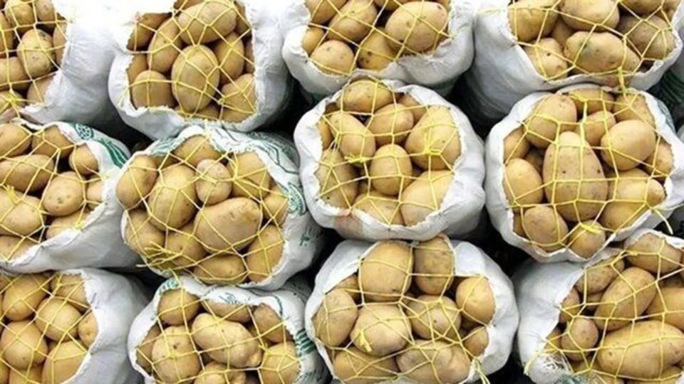 بحران غذایی اروپا؛ جهش ۷۰۰ درصدی قیمت سیبزمینی با بحران تنگه هرمز بحران غذایی اروپا؛ جهش ۷۰۰ درصدی قیمت سیبزمینی با بحران تنگه هرمز