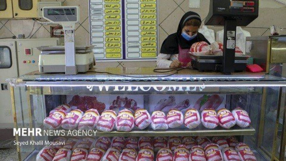 عرضه مرغ تا هفته آینده متعادل میشود عرضه مرغ تا هفته آینده متعادل میشود