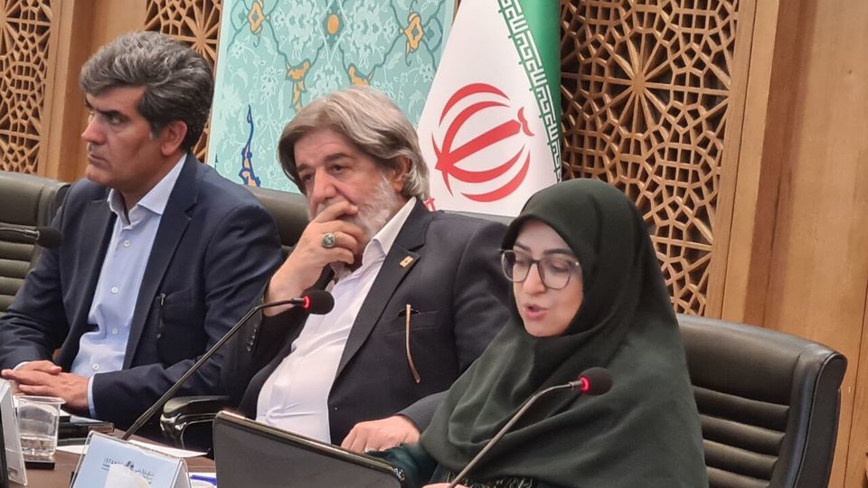 انصاری: فرونشست زمین در اصفهان «مرگ برگشتناپذیر» آبخوانهاست انصاری: فرونشست زمین در اصفهان «مرگ برگشتناپذیر» آبخوانهاست