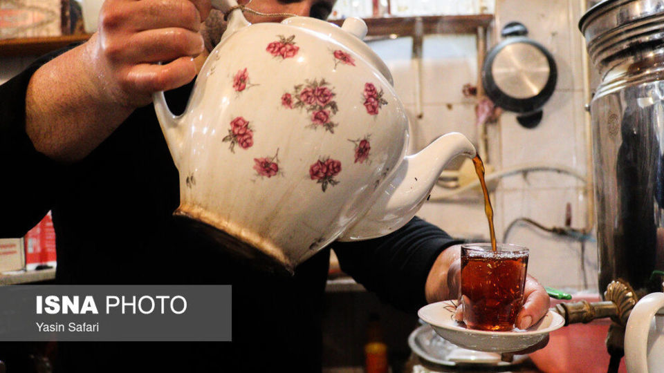 برگ سبز چای؛ از مزرعه تا چایخانه
