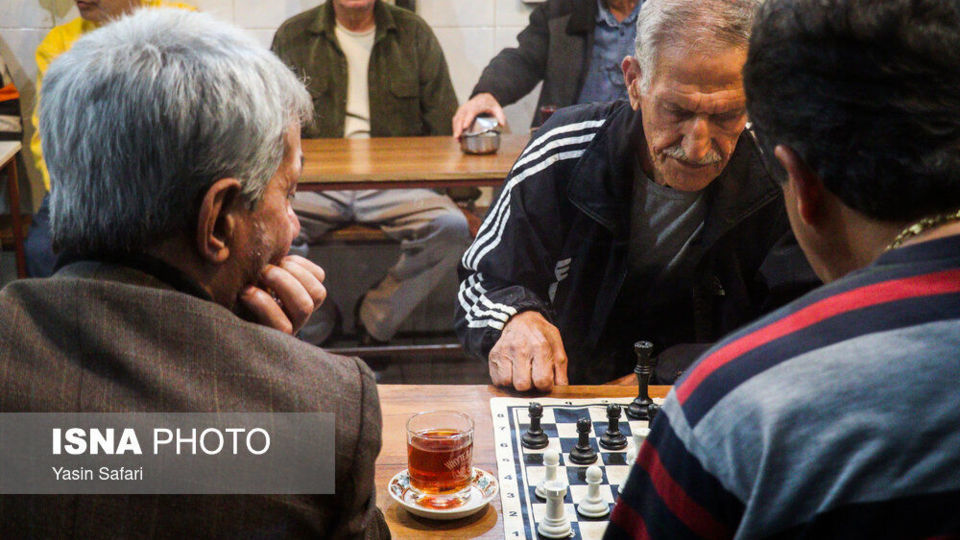 برگ سبز چای؛ از مزرعه تا چایخانه