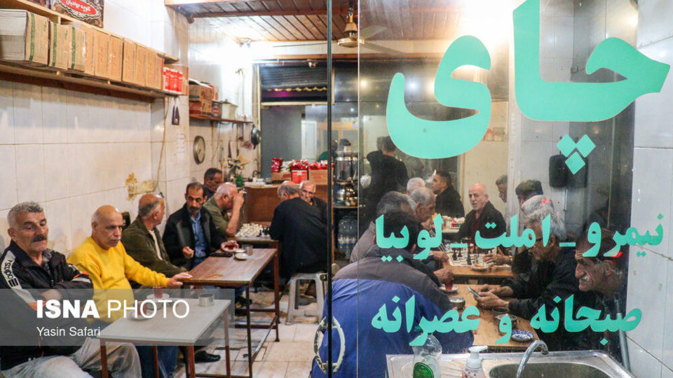برگ سبز چای؛ از مزرعه تا چایخانه