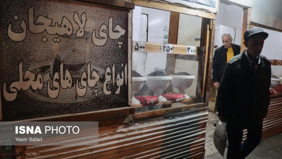 برگ سبز چای؛ از مزرعه تا چایخانه