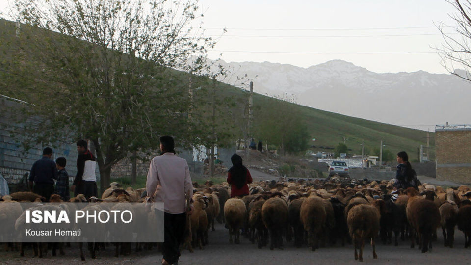 شادکامان دره «قره سو»