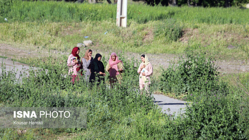 شادکامان دره «قره سو»