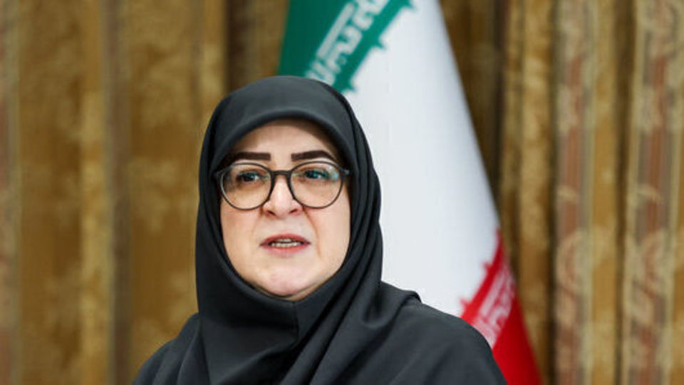 مهاجرانی: سهمیه یارانهای بنزین خانوارها حفظ خواهد شد مهاجرانی: سهمیه یارانهای بنزین خانوارها حفظ خواهد شد