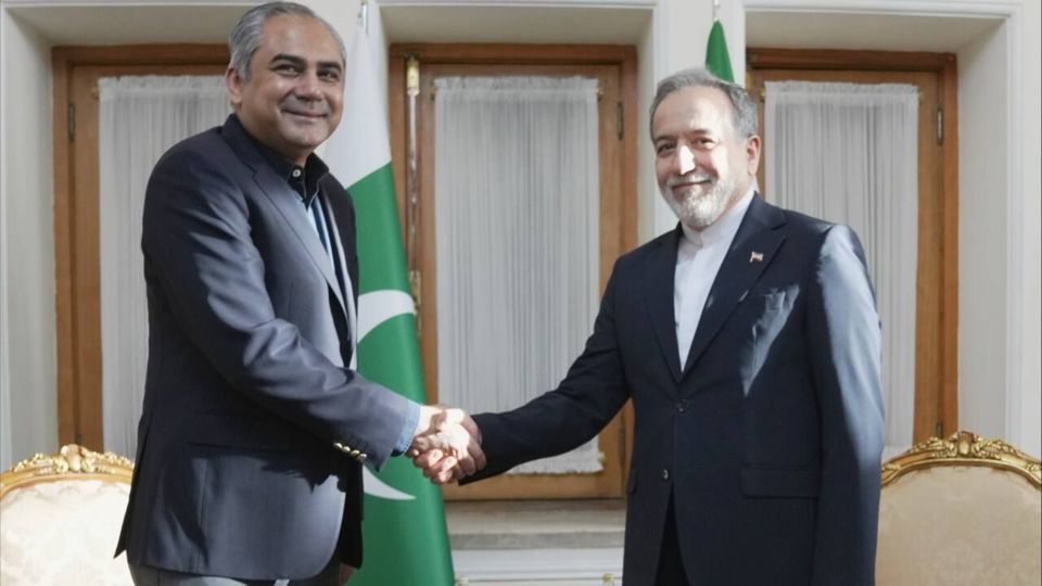 وزیر کشور پاکستان با عراقچی دیدار کرد وزیر کشور پاکستان با عراقچی دیدار کرد