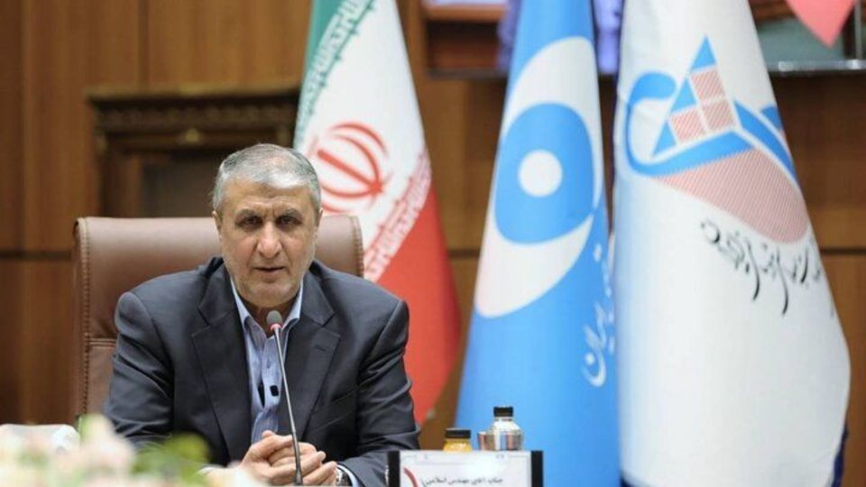 رییس سازمان انرژی اتمی: هرگز متوقف نخواهیم شد رییس سازمان انرژی اتمی: هرگز متوقف نخواهیم شد