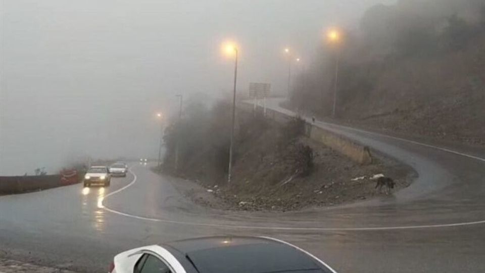 ترافیک سنگین در محورهای شمالی و برخی خروجیهای تهران ترافیک سنگین در محورهای شمالی و برخی خروجیهای تهران