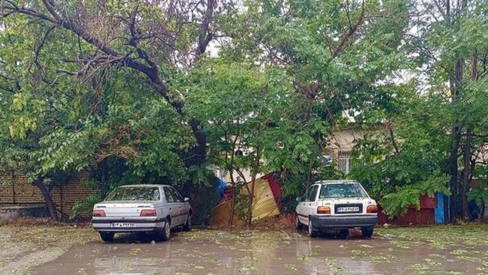 رگبار باران در ۱۴ استان طی امروز/ ادامه بارشها تا ۴ روز آینده رگبار باران در ۱۴ استان طی امروز/ ادامه بارشها تا ۴ روز آینده