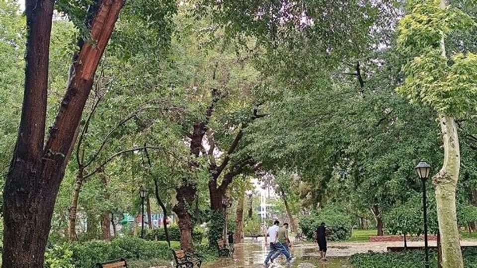 بارش برف و باران در شمال کشور از امروز تا پنجشنبه بارش برف و باران در شمال کشور از امروز تا پنجشنبه
