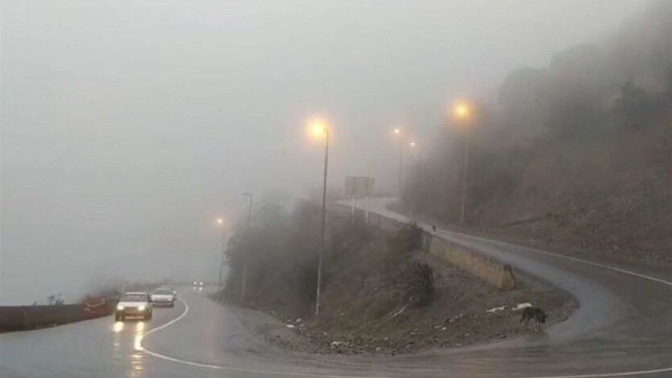 باران و مهگرفتگی در جادههای شمال/ ترافیک سنگین در چالوس و هراز باران و مهگرفتگی در جادههای شمال/ ترافیک سنگین در چالوس و هراز