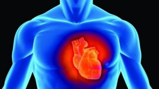 اثرات استرس محیطی بر بافت معمول و غیرمعمول قلب