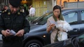برخورد پلیس با سگ‌گردانی در تهران