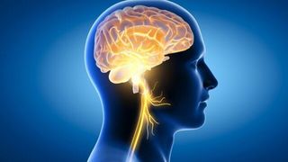 کمک‌هزینه ‌۸ میلیون دلاری برای بررسی ارتباط روده و مغز در بیماری پارکینسون!