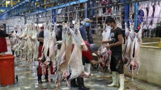 چرایی دخالت کمرنگ دولت در تعیین قیمت گوشت قرمز/ پیش‌بینی کاهش قیمت گوشت قرمز در ماه آینده