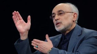 علی اکبر صالحی: اگر موضع منطقی ایران نبود، برجام فسخ شده بود