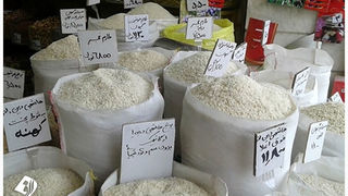 قیمت واقعی برنج ایرانی ۶۴ هزار و ۹۰۰ تومان است 