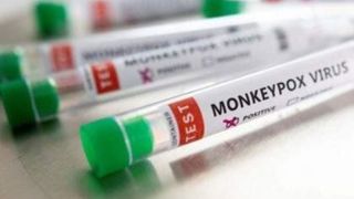 شناسایی اولین مورد ابتلا به آبله میمونی در برزیل
