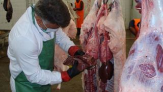 کنترل بیماری تب کریمه کنگو/ مردم از خرید گوشت از اماکن غیرمجاز خودداری کنند