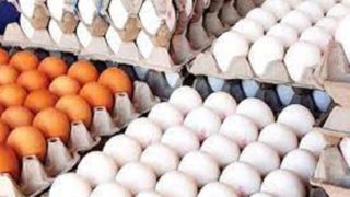 اعلام قیمت جدید تخم مرغ/ قیمت هر کیلو برای مصرف کننده، ۵۶ هزار تومان