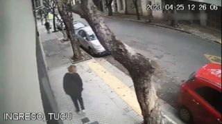 سقوط درخت روی سر یک دختر در آرژانتین 