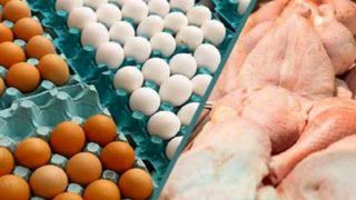 سازمان حمایت: افزایش قیمت مرغ و تخم مرغ به ما اعلام نشده است