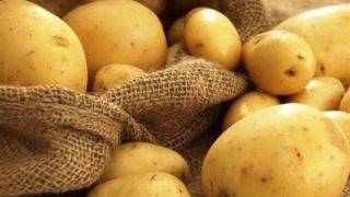 صادرات پیاز و سیب‌زمینی از اول خرداد ممنوع می‌شود