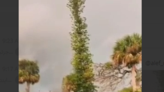 لحظه برخورد صاعقه به یک درخت در فلوریدا آمریکا