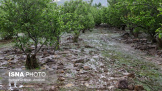 خسارت سیل به برخی روستاهای شهرستان اهر