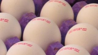 قیمت تخم‌مرغ بسته‌بندی اعلام شد