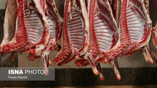 واردات گوشت قرمز از هفته آینده/ بازار به ثبات می‌رسد