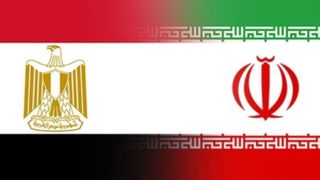 در تلاشیم سطح روابط سیاسی ایران و مصر به سفارت ارتقاء یابد