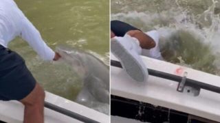 حمله کوسه به یک ماهیگیر روی قایق