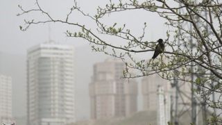 وضعیت هوای تهران؛ تداوم تنفس هوای "آلوده"