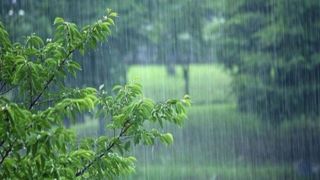رگبار باران و خیزش گردوخاک در برخی از استان‌های کشور  